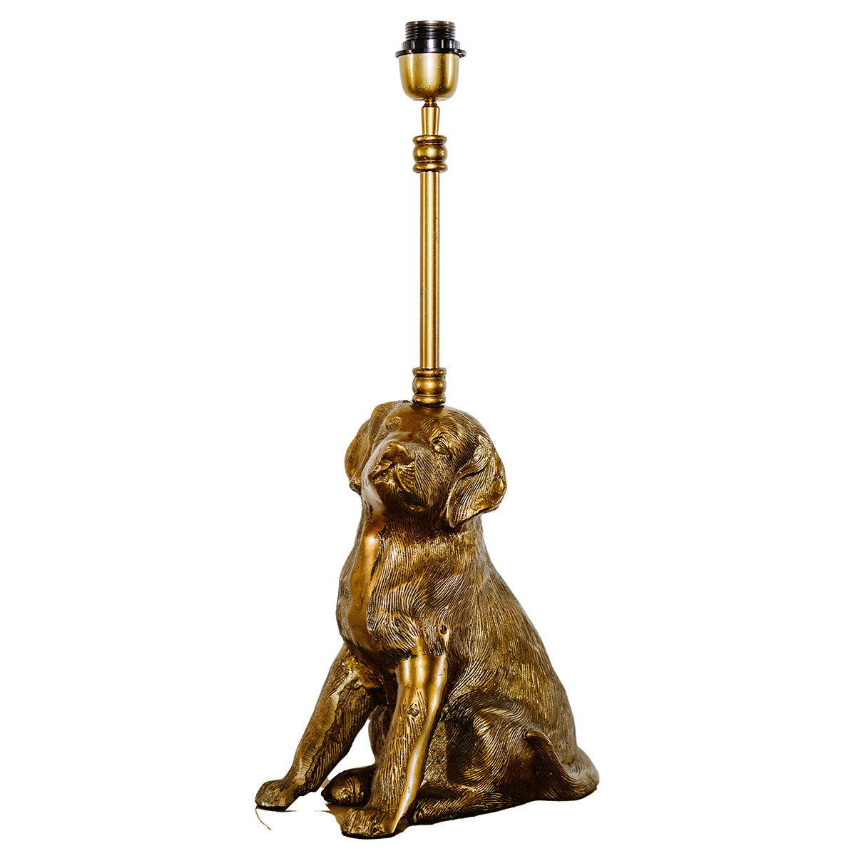Labrador Lamp Base - Raw Antique Gold LAM316
