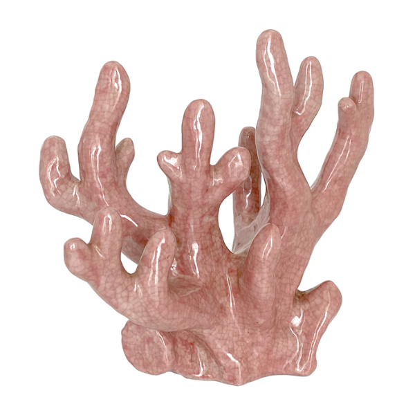 Image of pink coloured vintage coral.