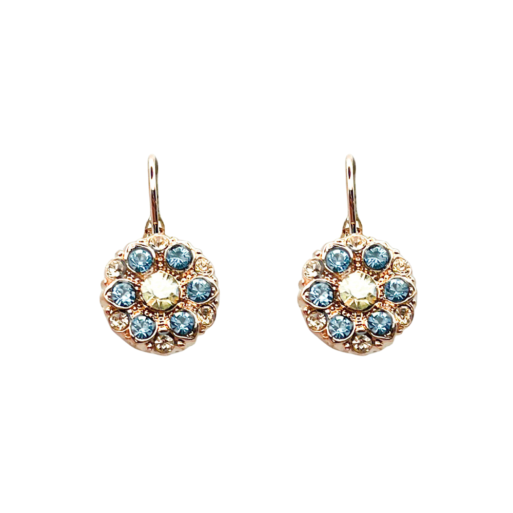Pair of earrings with blue gemstones on a white background