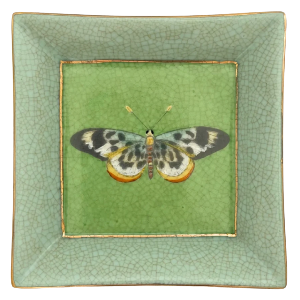 CAM Exotico Wall Plate - Mariposa EX075