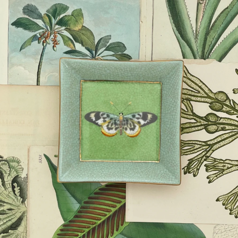 CAM Exotico Wall Plate - Mariposa EX075