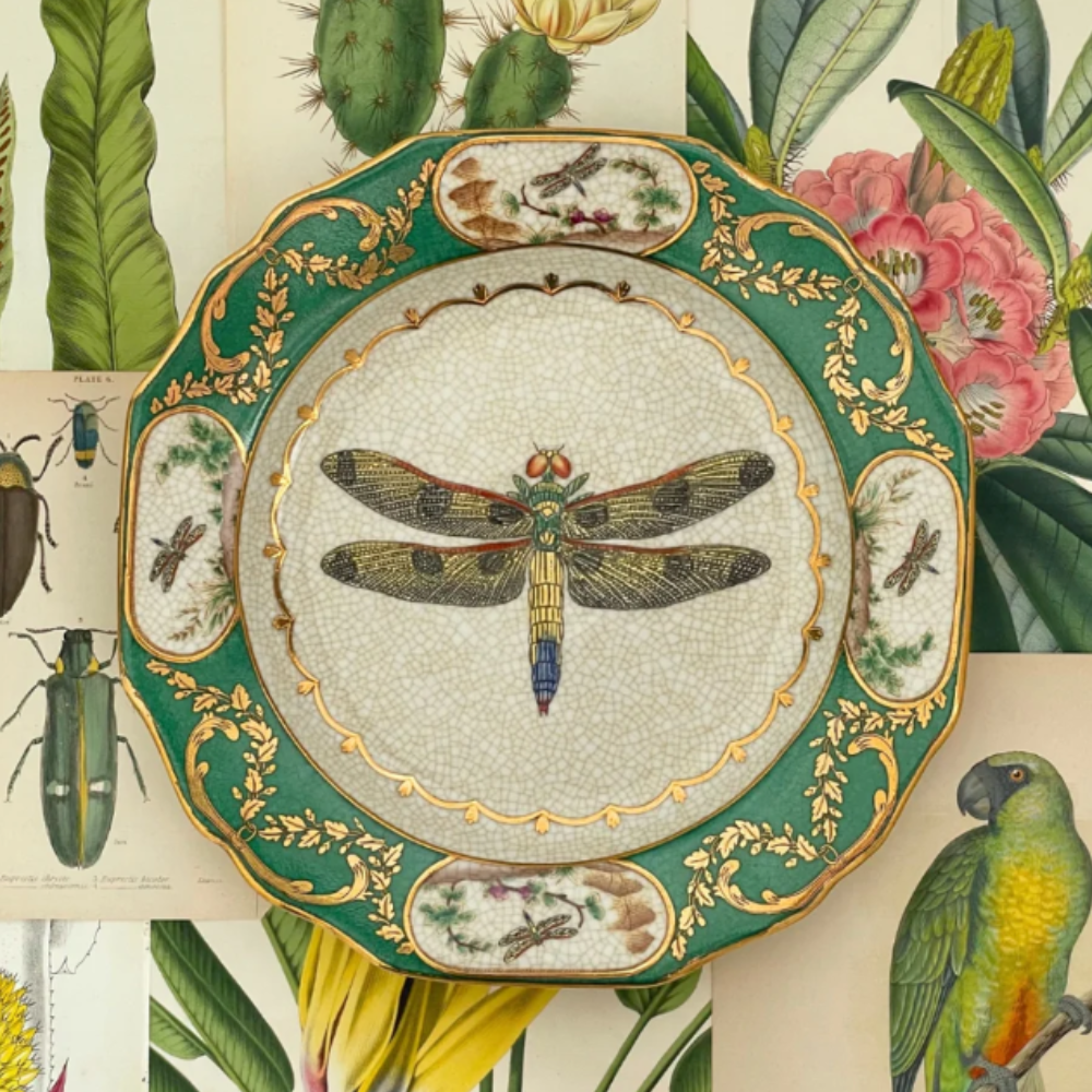 CAM Exotico Wall Plate - Libelula EX079
