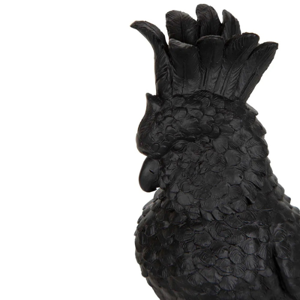Image of black poly-resin parrot figurine on black stand.