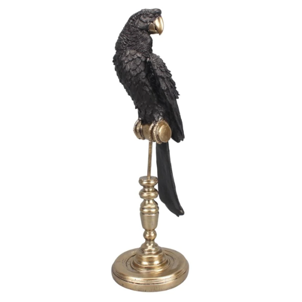 Image of black parrot standing regally on its perch, is a stunning decorative piece that will be an outstanding adornment in your home.