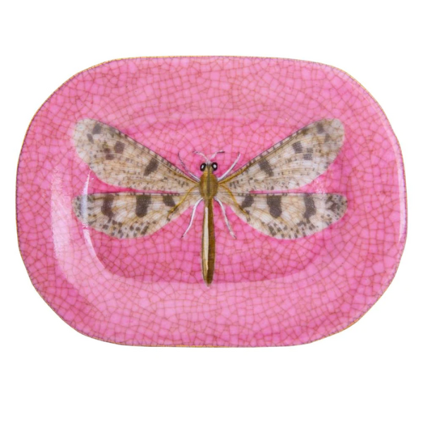 Image of savon dish on pink crackle finish with dragon fly feature.