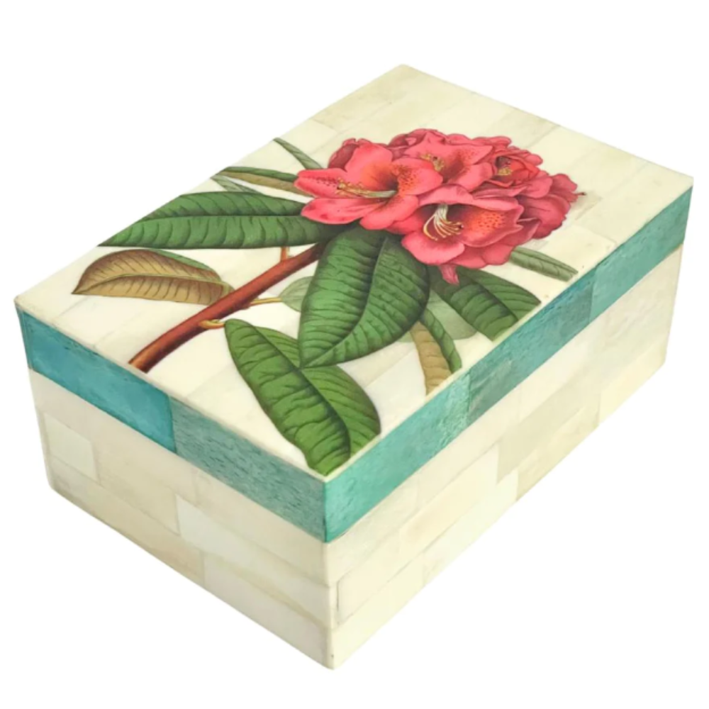 CAM Paradiso Box - Rhododendron PARA089