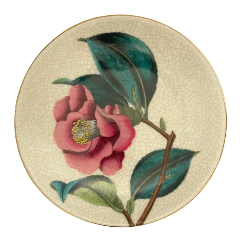 Paradiso Wall Plate - Camellia PARA097