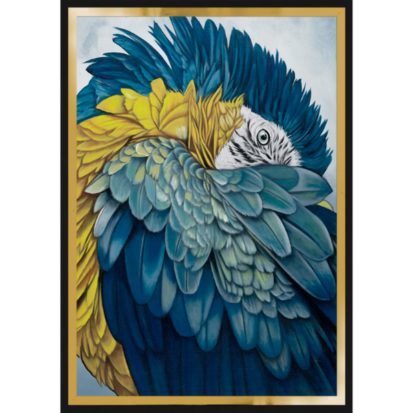 Beautiful Shy Blue and Gold Parrot Print on Glass with Black and Gold Double Frame